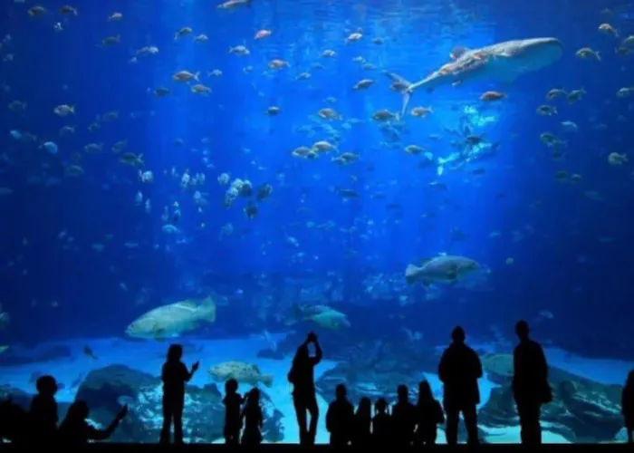 Kalima Canteras Loft לאס פאלמס דה גראן קנאריה